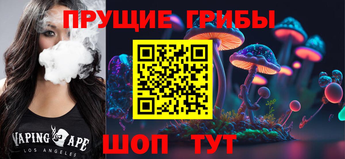 Черняховск  Галлюциногенные грибы мицелий  Вход с VPN 